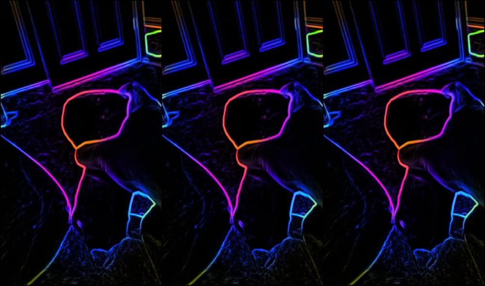 Onlyonerhonda 830169423 09 04 2020 Full Video A Neon Video Testing A New 10 5 Inch Toy This Was Completely In The