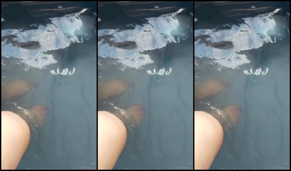 Lady Shayqoscuckoldress Nicknamed Ladyshay 07 01 2021 Onlyfans Video Leaked Ladyshay 11374