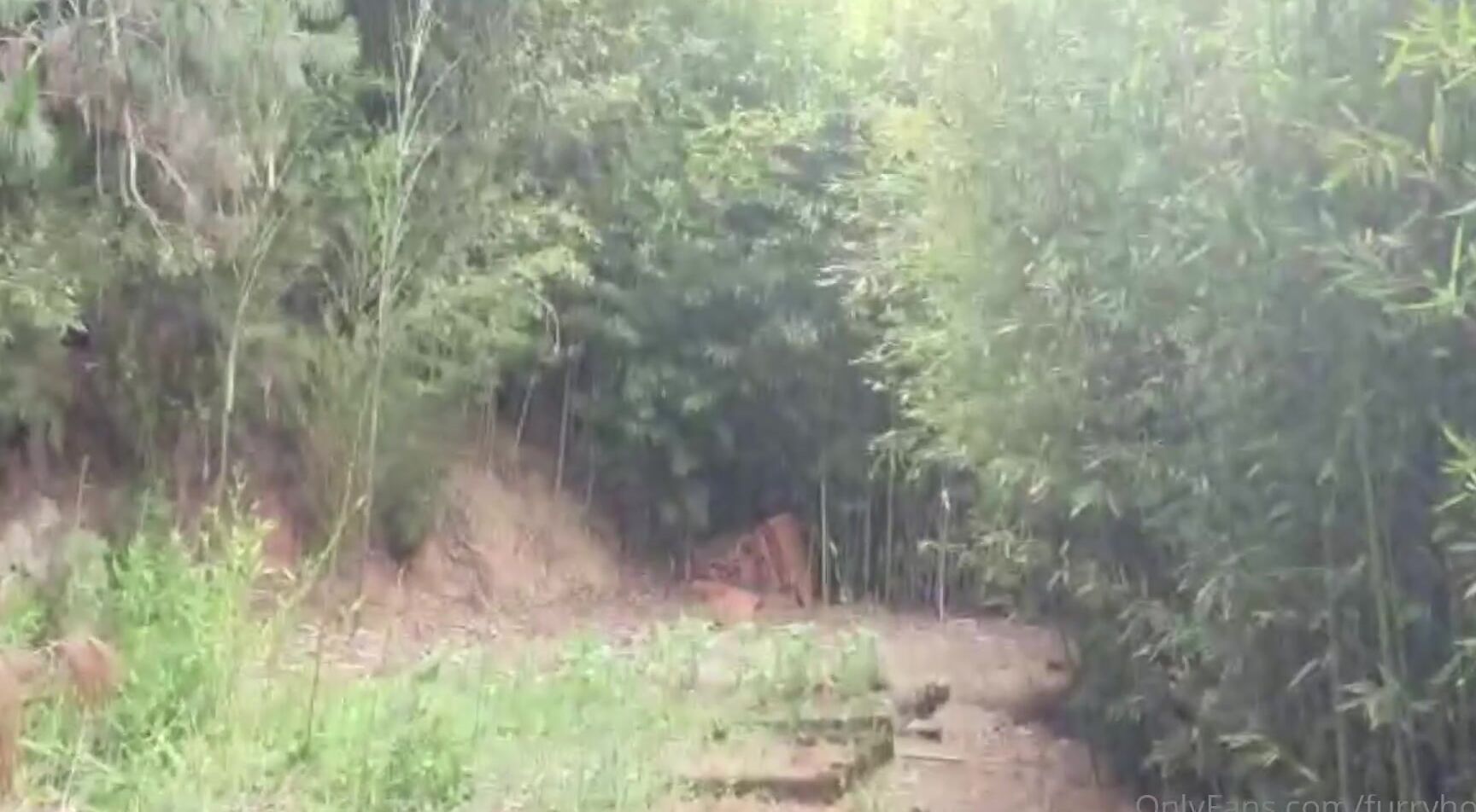 Furryhornny Walking In The Middle Of The Woods With Naughtypuzzle