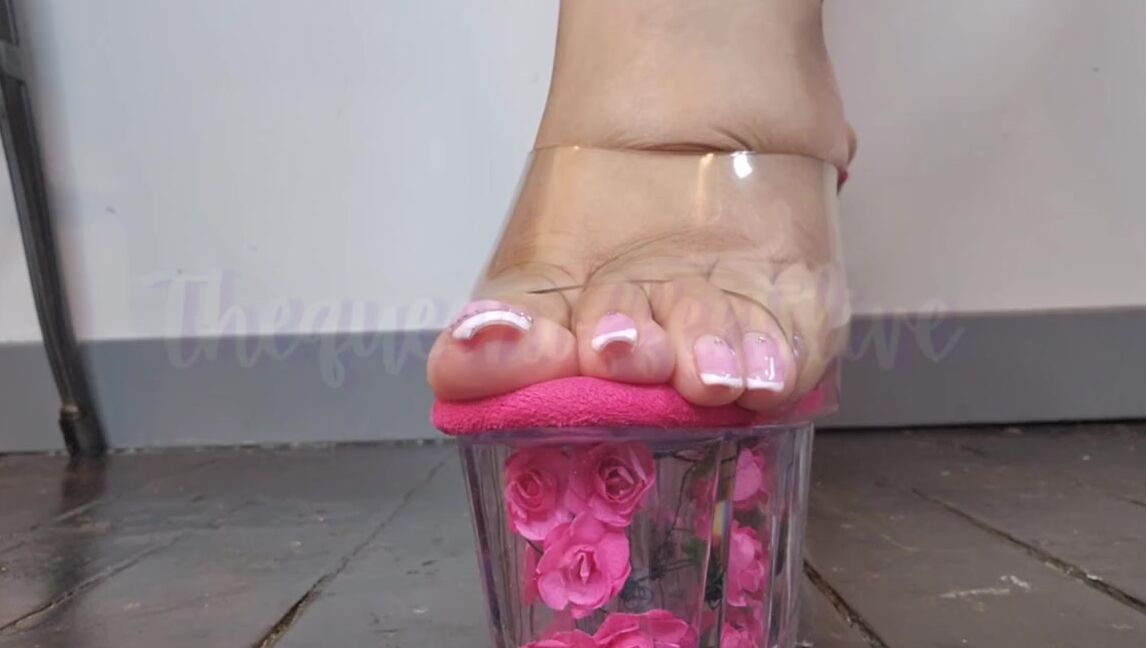 Thedcfootqueen Onlyfans Bully Foot Bitch Demands Cump