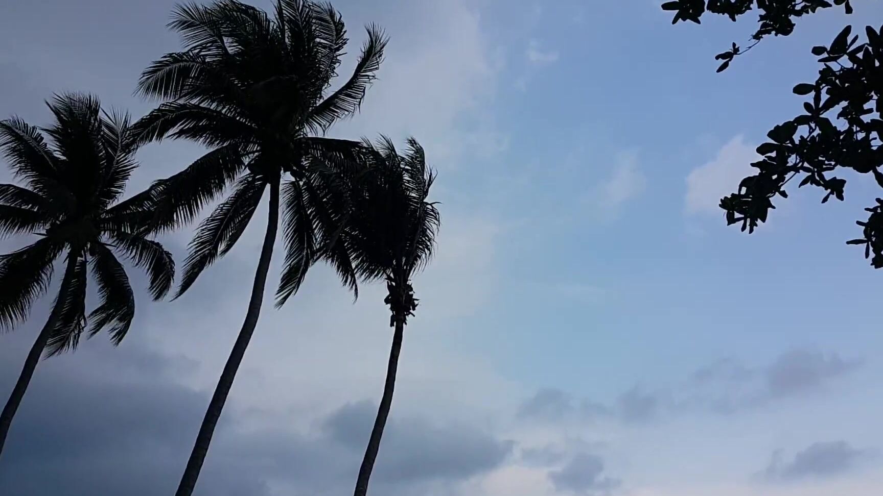 My Wife SexyDreams Up dress PUSSY and BUTT PLUG flashing at public beach Pornhub