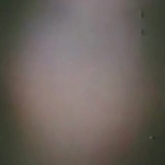 "Marina Hedman, Sonia Bennett, Guia Lauri Filzi, Fernando Arcangeli, Laura Levi, Ornella Picozzi, Patrizia Predan, Mary Ramunno, Giovanni Tamberi, Luigi Tripodi, Mimi Losy, Bruno Romagnoli, Andrea Cupelli, Erminio Bianchi Fasani, Eugenio Gramignano, 