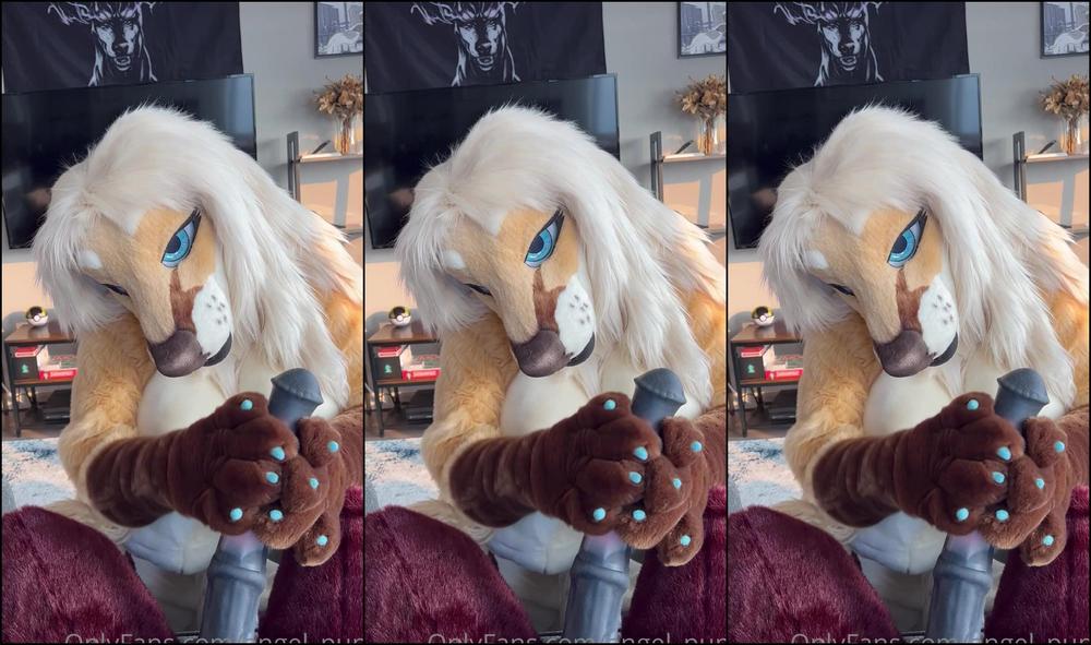 Angel Pups 642589921 Celine Is Well Equipped To Please Tahoe 01 5D4493Ba Ae45 4269 A749 77Ef904Dbb03