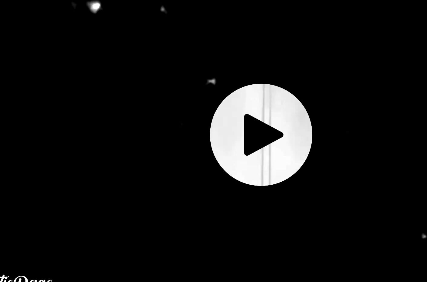 Caitie Rage Wasteland Bundle Deal