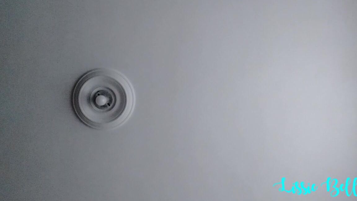 Taboo, MILF, Fantasies, Big Boobs, Virtual Sex lissie belle fucking my son in law ManyVids