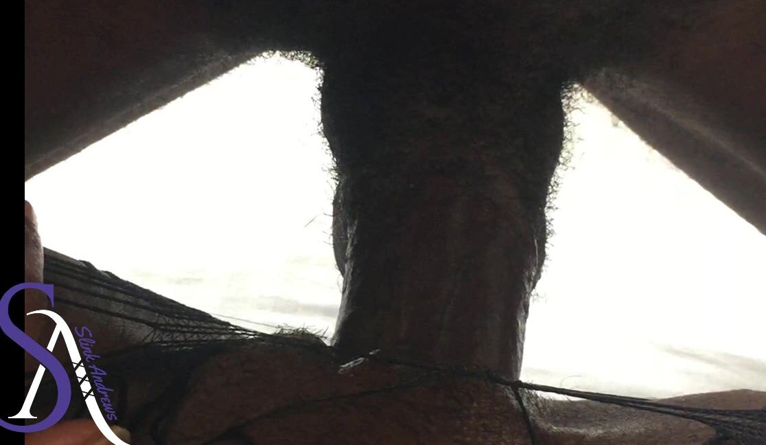 BBC, Black & Ebony, Doggystyle, Petite, POV Sex slinkandrews petite destanii takes all 12 pov ManyVids