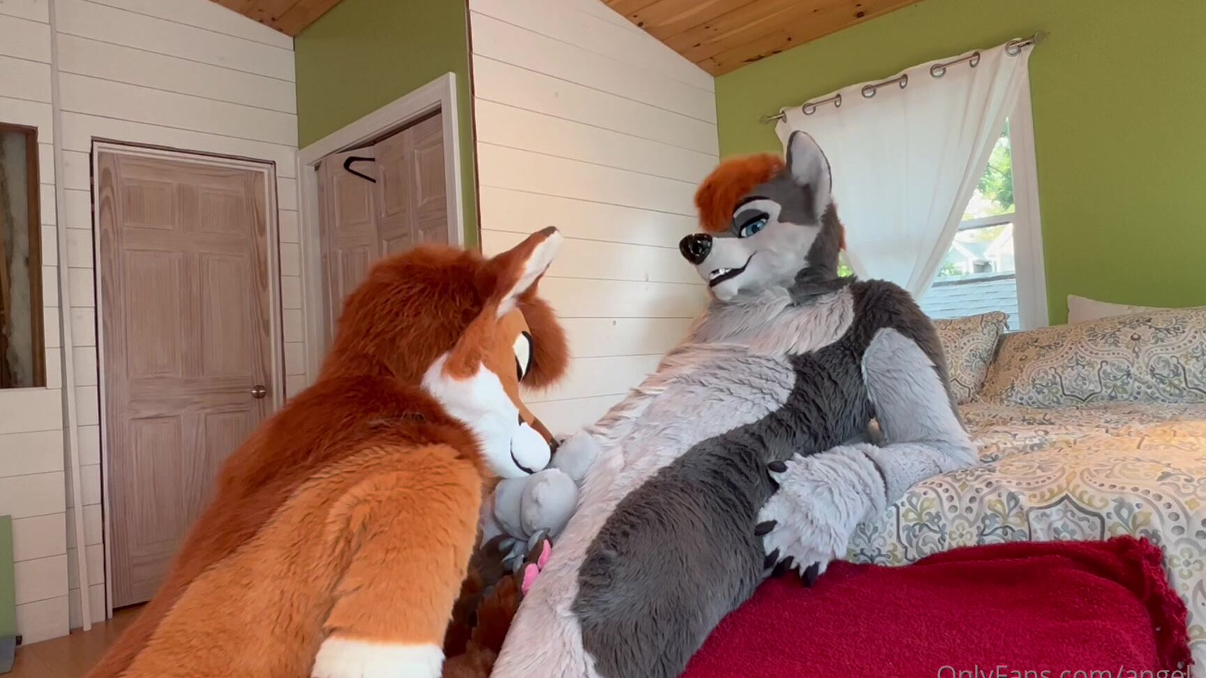 Angel Pups 691425296 Helping My Wolf Relax 01 C57B119C 475E 4891 B992 D8De0D3D63Fd