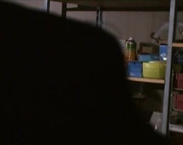 "Mix"Farlig Frestelse_2 SiteRip