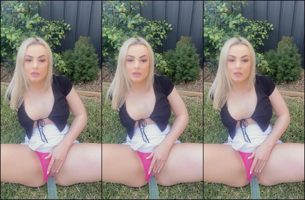 Itstiffanysworld The Birds Had A Good Show And So Did My Neighbours