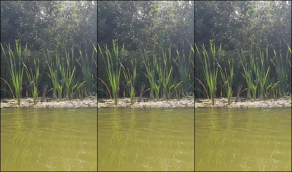 "AniLoveX" Outdoor, Public, Public Flashing, Risky Public, Exhib Public Amateur, Almost Caught, Public Masturbation, Risky Masturbation, Creamy Pussy, Exhibitionist, Risky Public Nudity, Outdoor Sex, Outside Naked, Flashing, Risky, Naked In Public, S