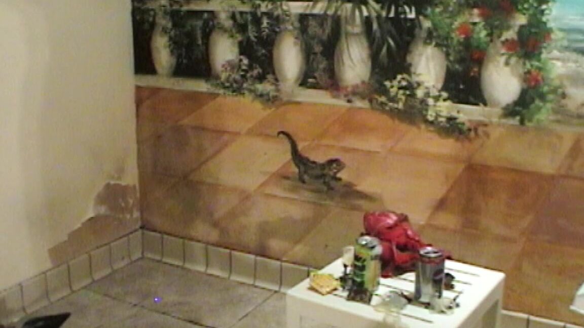 Beefybanger I Fuck Huge Boob Marie As Friend Watches