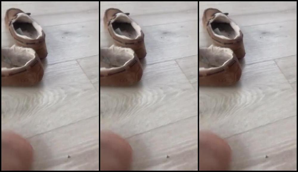 Goddessmonica00W 11 16 2024 Onlyfans Video Cum In My Stinky Slippersp