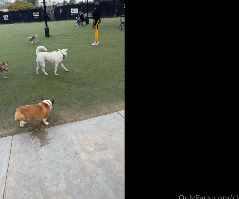 Clca69 3250334932 06 02 2024 I Love Seeing Tofu Happy I Enjoy Taking Him To The Dog Beach And Dog Park