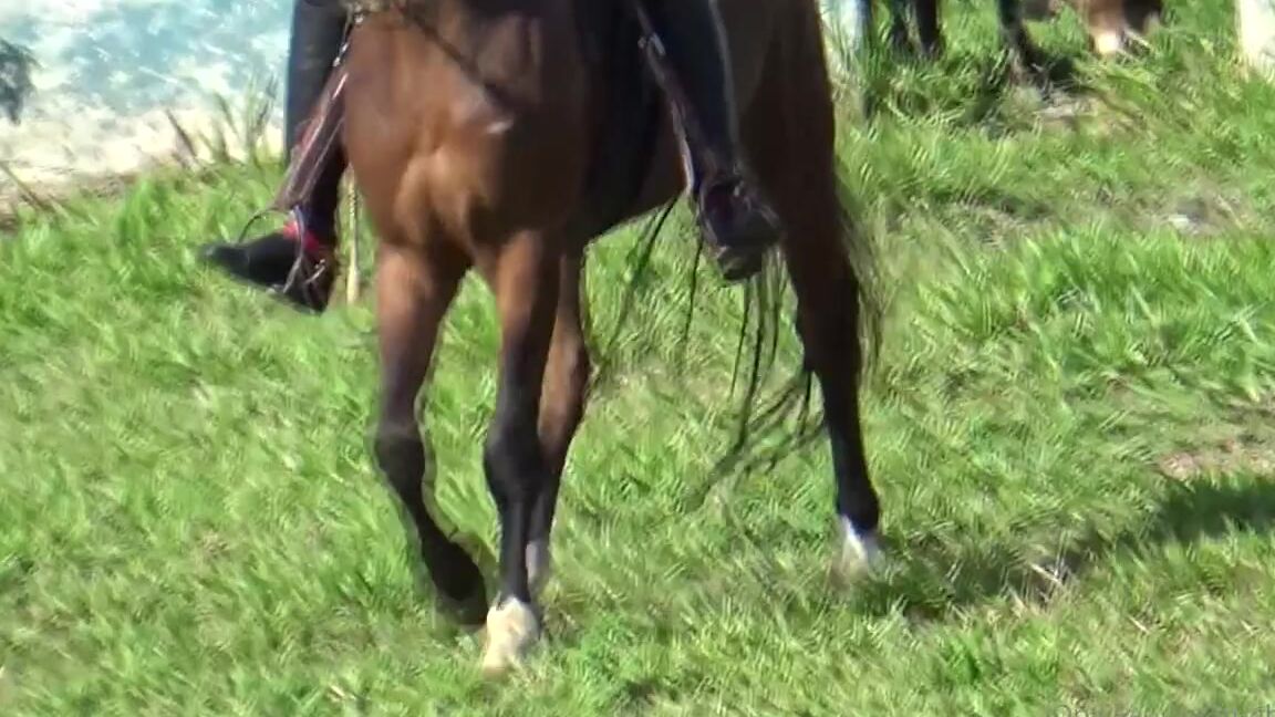 Ghrfan Onlyfans This Is A Teaser From The First Clip I Have The Pleasure Of Being Behind The