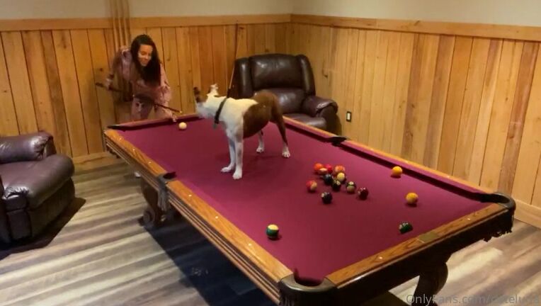 Cutelunastar Me And My Pool Partner I Love Doggies So Much