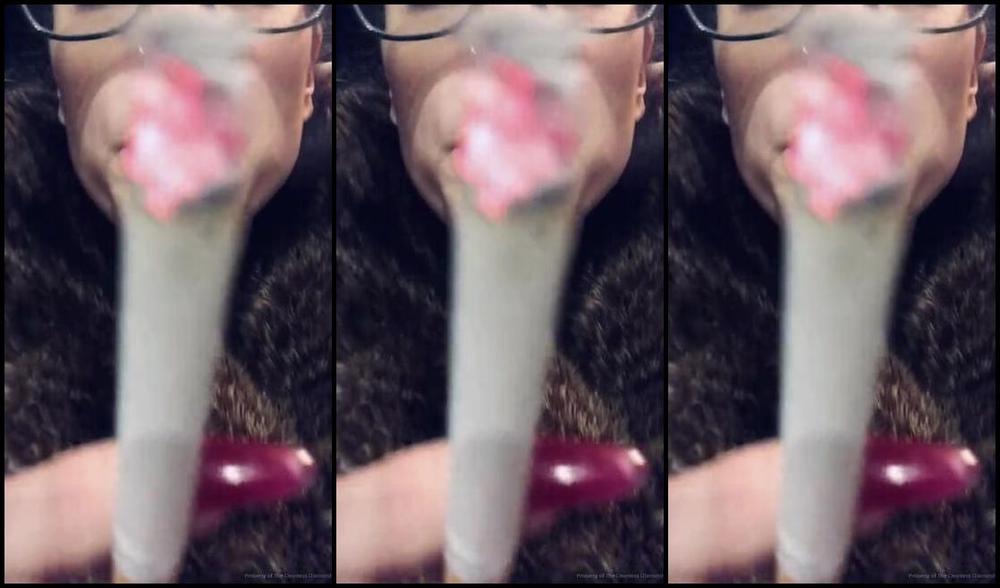 Countess Diamond Aka Countessdiamond Onlyfans Make My Night And You Might Get The Treat Of A Touch