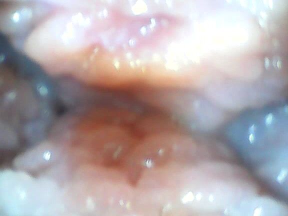 Cutielanalova Watch My Pussy Pulsing Inside