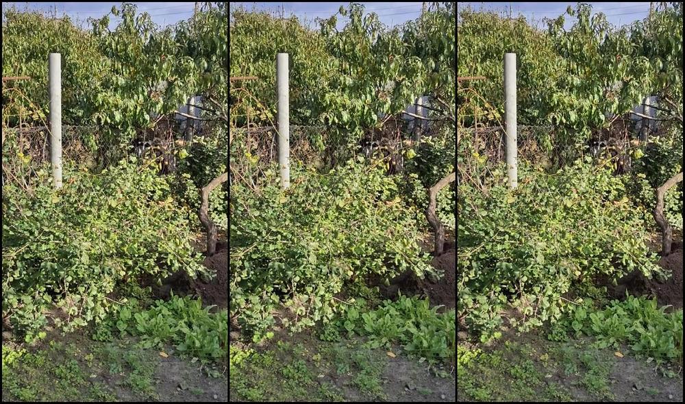 "Fake Taxi" Day, Time In The Garden, Ordinary Affairs, Gardening, Home Care, Suggest Fake Taxi I am doing autumn things in the garden Pornhub