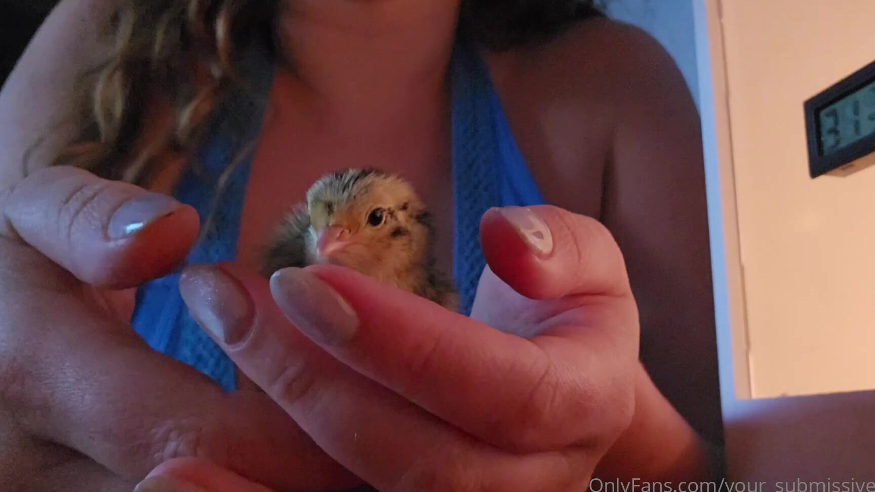 Your Submissive Doll 3286587739 04 21 2024 Even Though There Was One Chick That Needs A Little Help I M Pleasantly Surprised That They Re