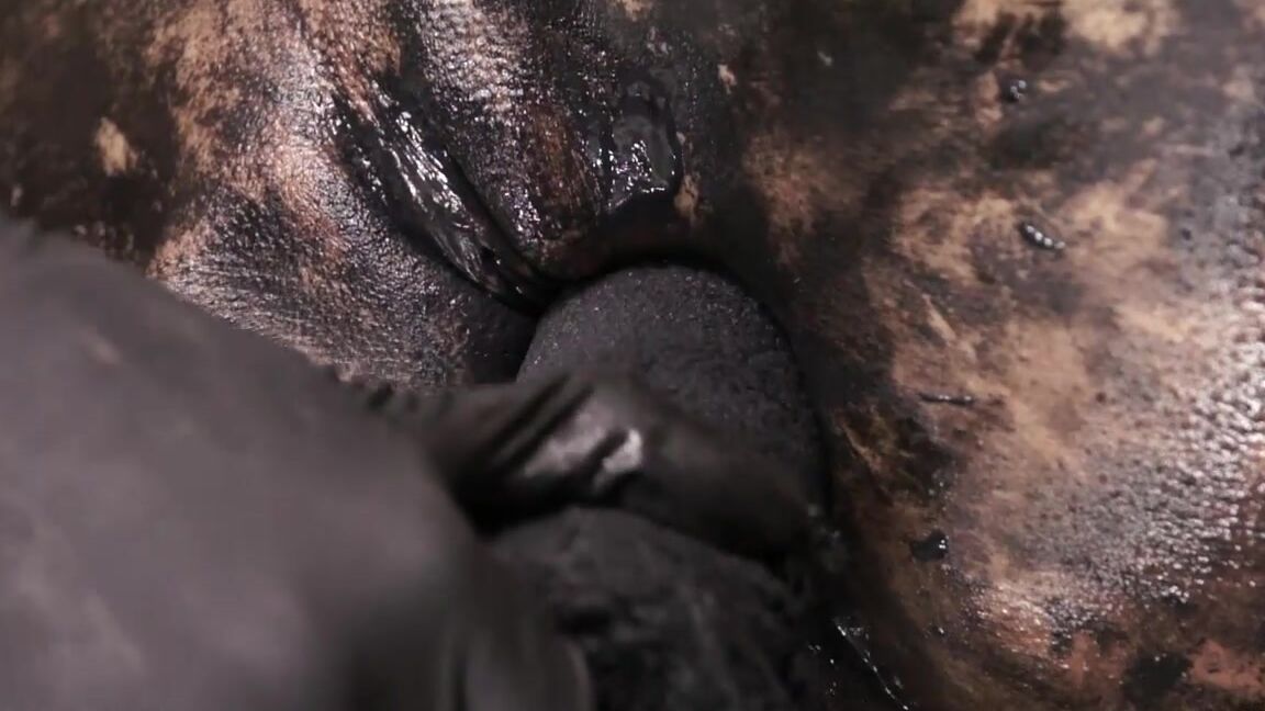 Messy, SelfTorment, Orgasm, Dirty, Insertion, Pee, Bodypainting Black Queensnake Studio