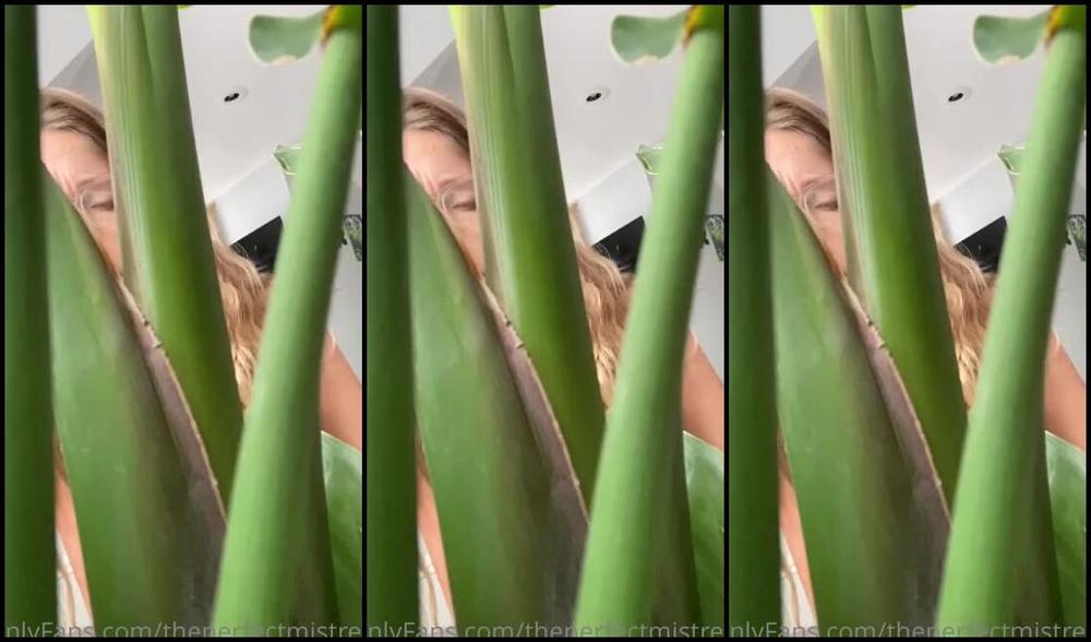 Theperfectmistress Onlyfans Full Giantess Vore Video I Find You Hiding In My Plants I Take You Out Place You On The Groundp