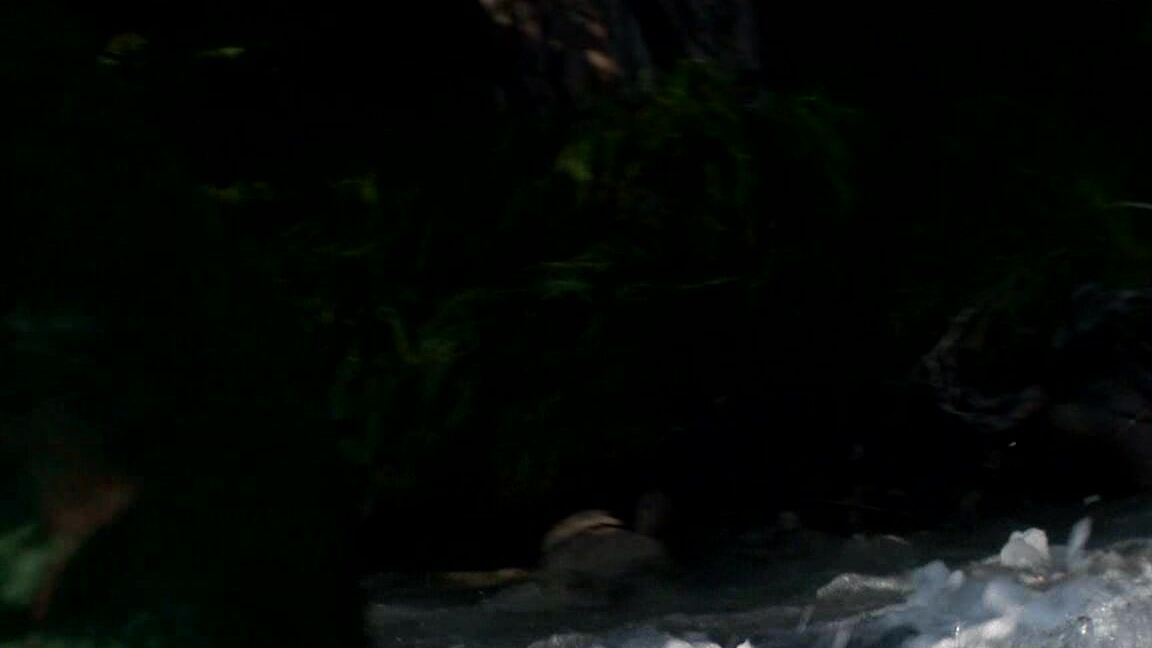 EroticDestinations - Jenni - 2007-09-19 - green cloth Mix