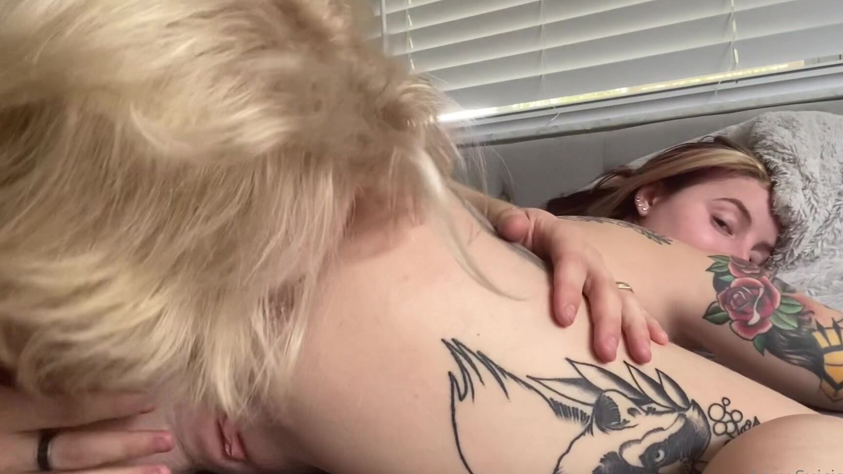 Apex Suicide Requested Video With Christian Grey Anal Video Will Be Next Since That Won The Vote Al