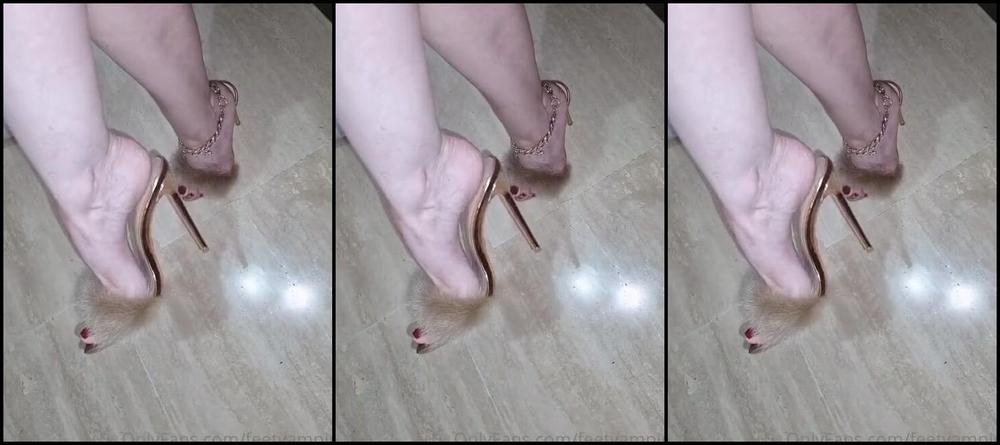 Feetvampire Nicknamed Feetvampire Onlyfans Video 625