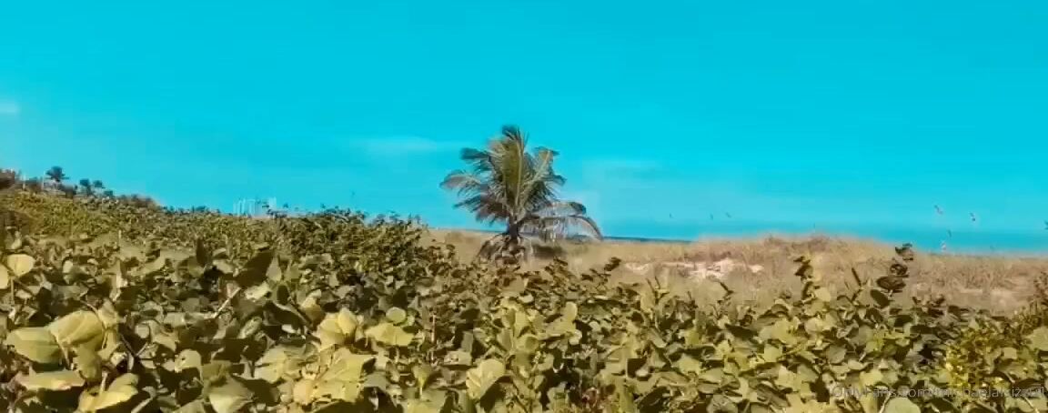 Waifubaobeioficial Full Video Thoctober I Suck On Public In The Car By The Beach Video He Cum All Over My