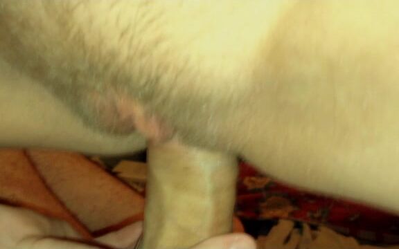 Blowjob, Boy Girl, Amateur, POV Sex, Cowgirl cutieronnie bg sex video in dorm room ManyVids