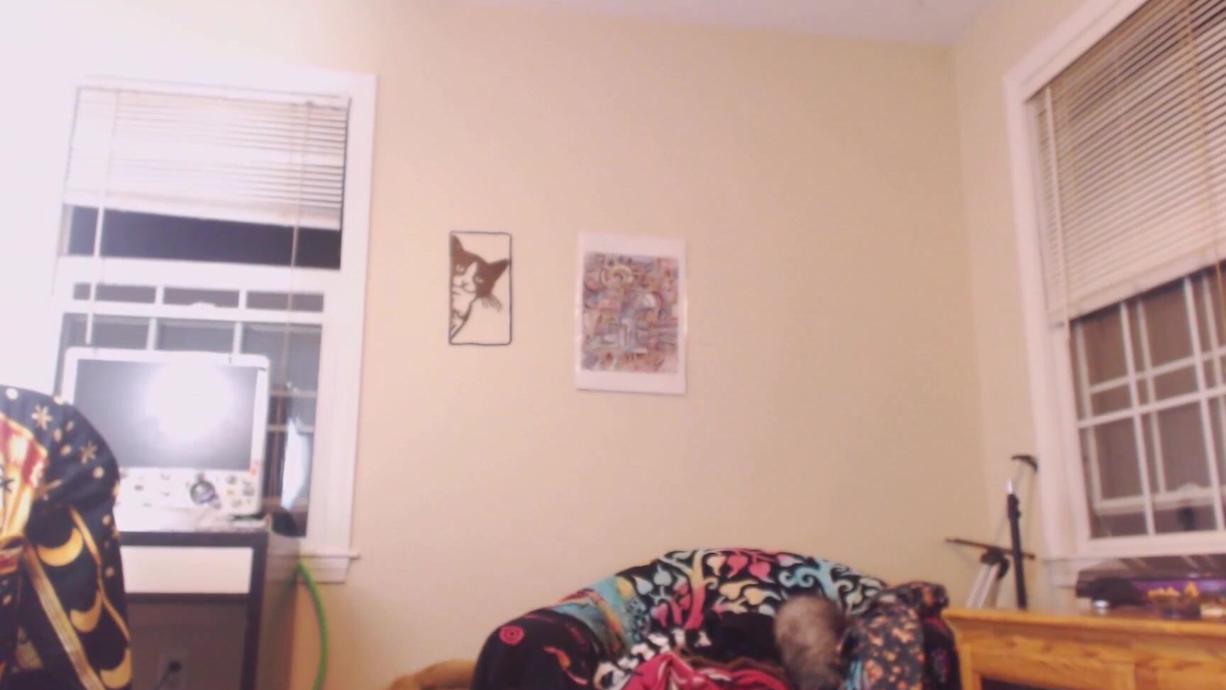 Nymphoneko Panty Modeling With Lissabunny