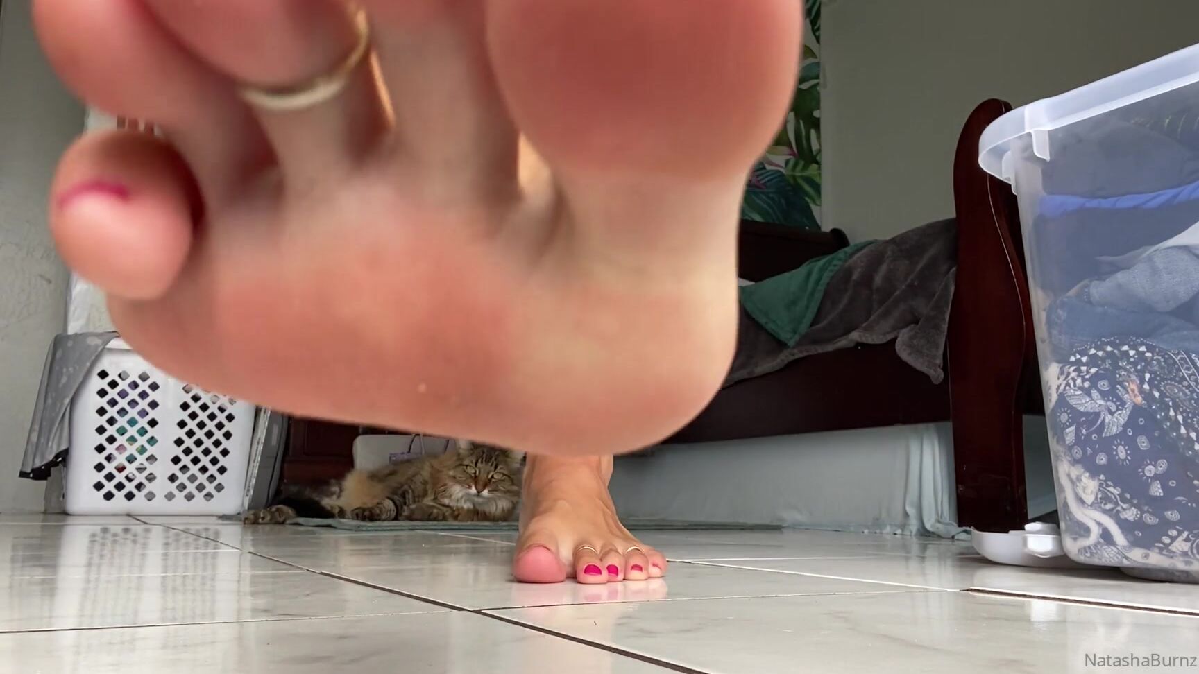 Goddesstalltasha 186857866 03 20 2020 What A Typical Morning In Quarantine Would Be Like With Me Comment If You Re Down