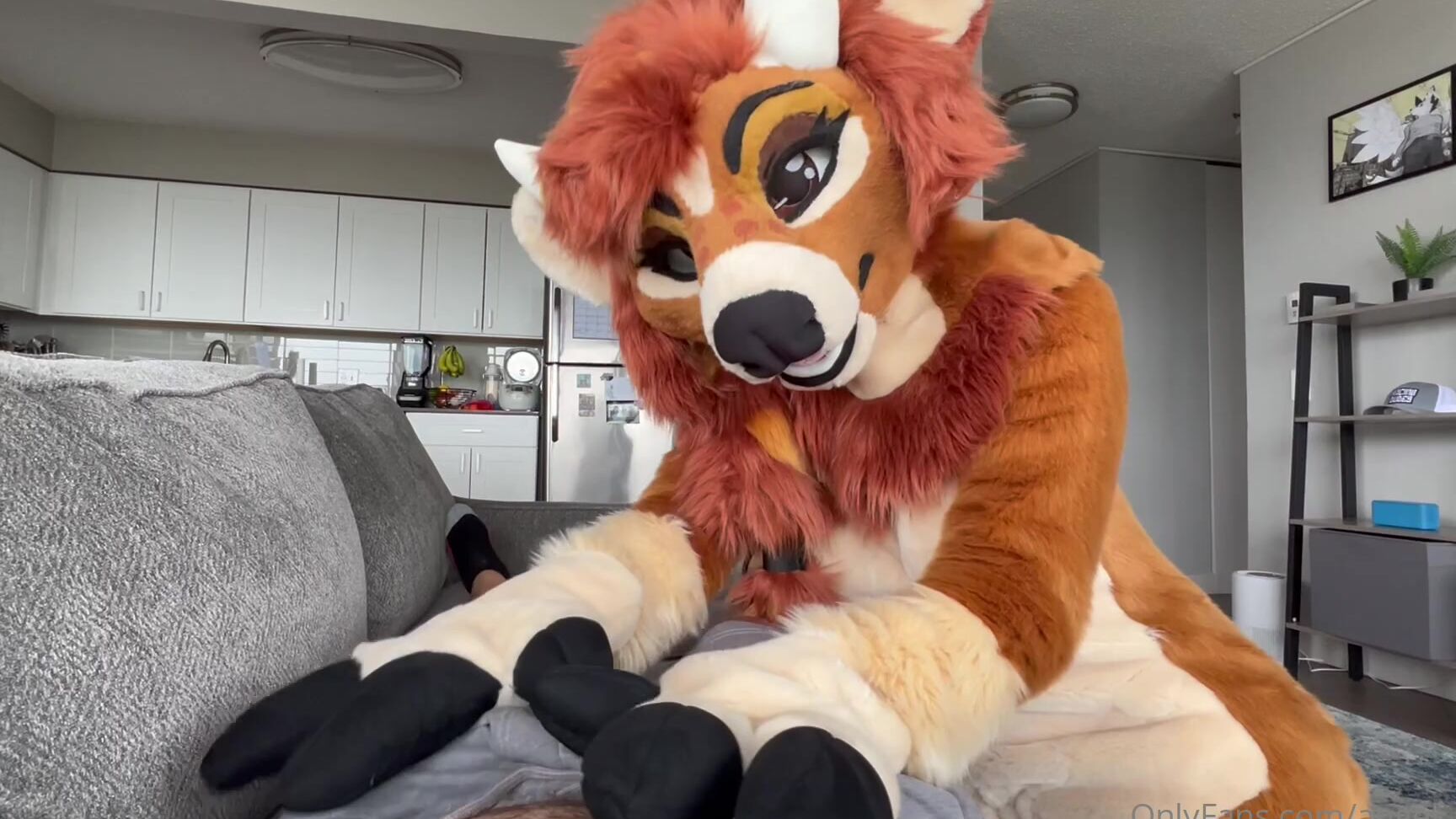 Angel Pups 625139911 Mav And Jessie Seem To Be Getting Along 01 D8186296 F020 44Bd 9Ba5 0Cd1B52Ef799