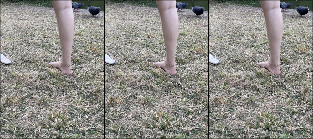 Lananoccioli Pov Talking With You Smell And Lick My Feet After I Walked Barefoot On Park