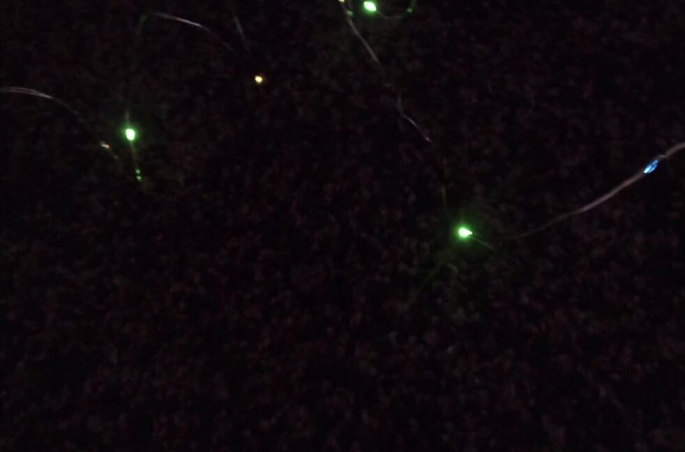 Lexi Dollface Lexi In The Lights