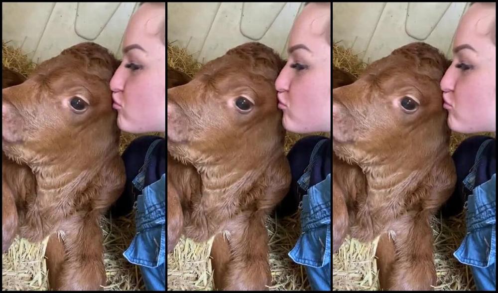 Vivienne L Amour Aka Vlproductionsuk Onlyfans The Country Lady Want To Join My Stable Muck Out For Me Clean My Yard And Riding Boots With Your 5