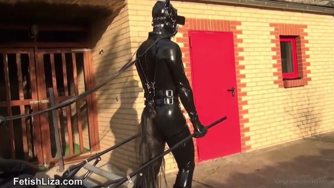 Fetishliza Onlyfans Our Human Show Pony Is For Sale So Let The Bidding Begin Ponyplay Fetishlizafans Extra Clip