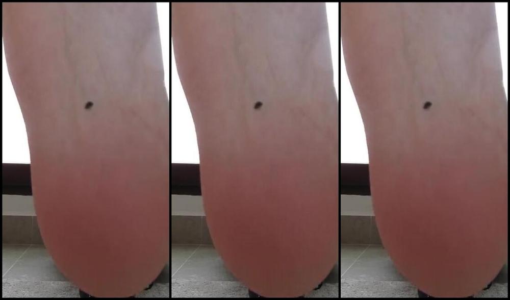 Neolasoles Nicknamed Neolasoles Onlyfans Like If You Would Lick My Feet Clean