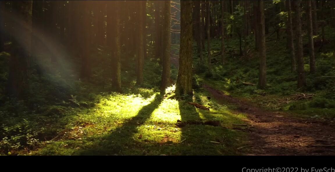 Eve Schwarz Nicknamed Eveschwarz Onlyfans You Dont Need Love Or Companionship You Only Need My Goddess Feet In Your Life