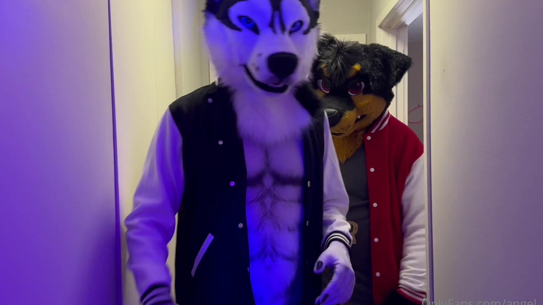 Angel Pups 1508892418 Teaser Clip Of Maverick And Kutombarottie Having Some Fun W 01 0Hxz050Bq6W6X2Prp7Bmj Source