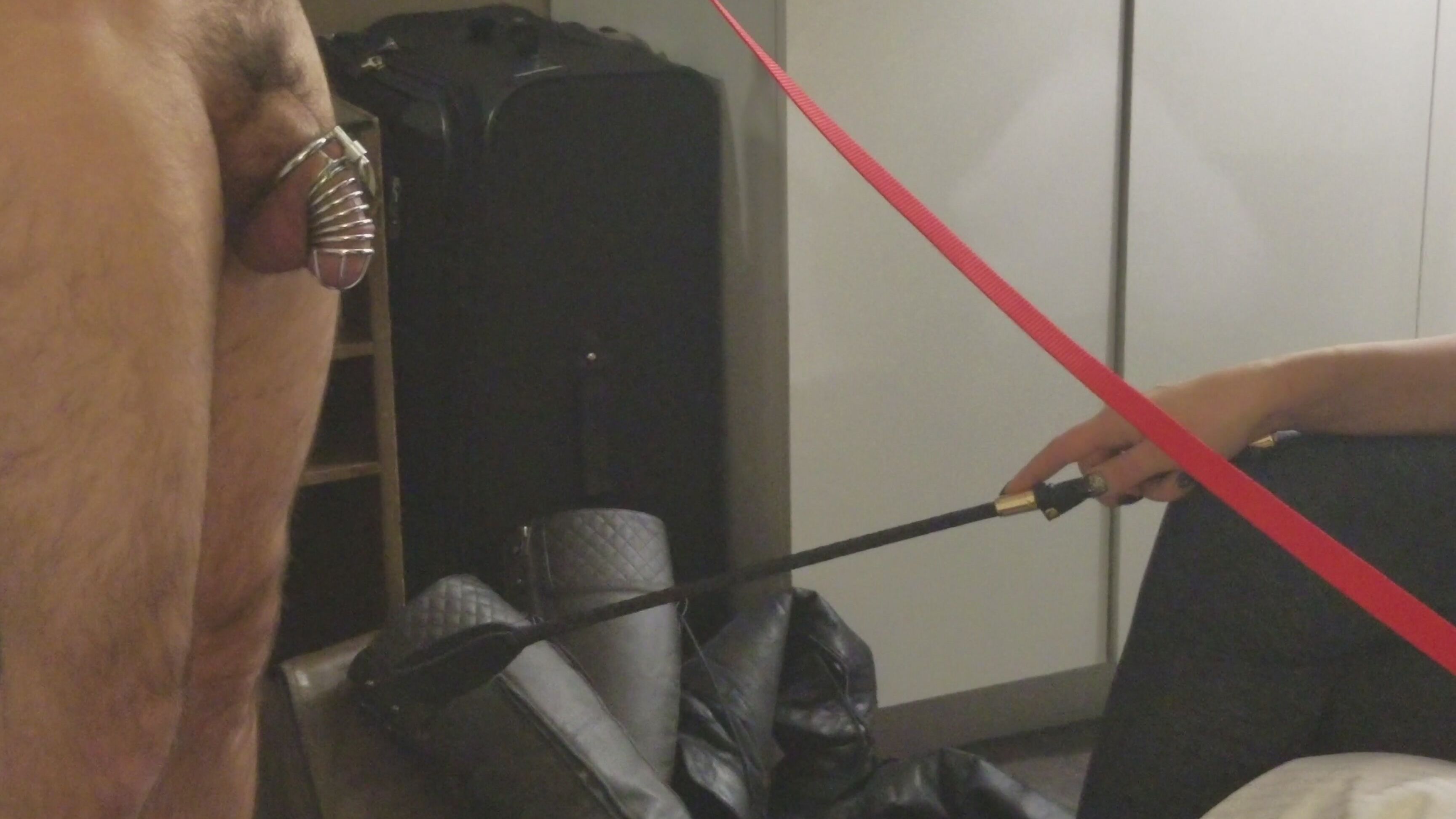 Anacondanoire Trump First Bannon Next