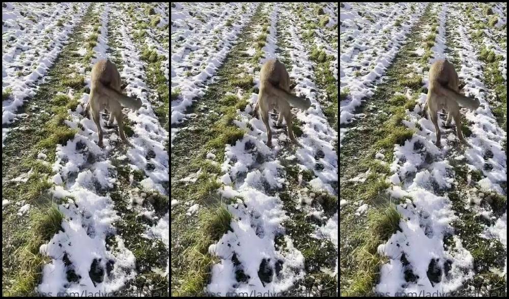 Ladydarkangeluk Onlyfans Video 833