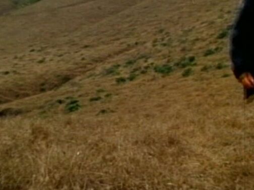 "Mimi Morgan, Joey Silvera, Mick Jones, Paul Scharf" Feature Savage Lust Blazing Films