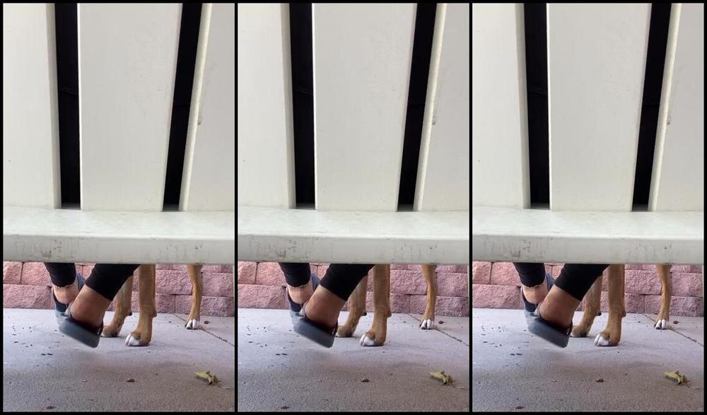 Jaylyn Nicknamed Jaylyn10 Onlyfans Story Coffee Amp My Pup Taking In The Friday Morning