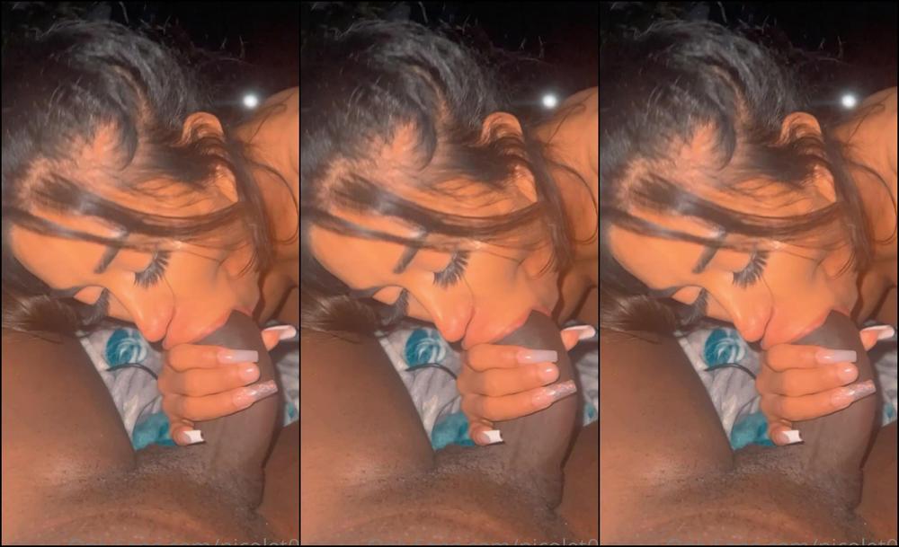 Nicolet01 2673198201 11 09 2022