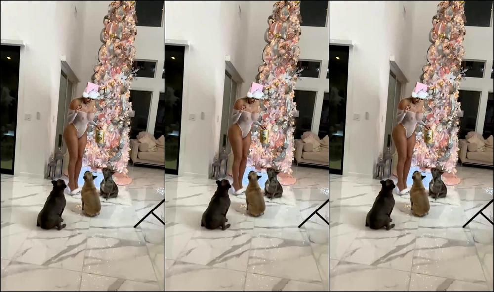 Daniibanksvip Stream Started At Am Santa Baby