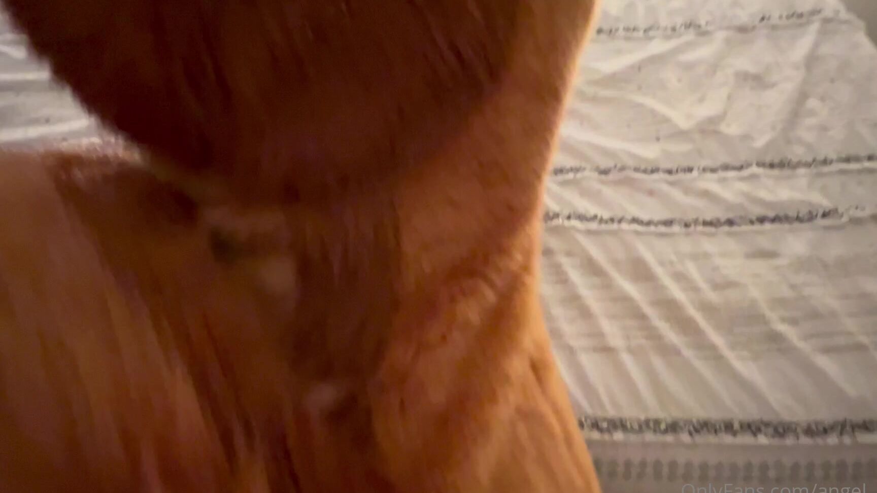 Angel Pups 360914717 Always Love That View From Behind 02 C245E9C3 4Adf 47C2 852E 5A695Bbef3A5