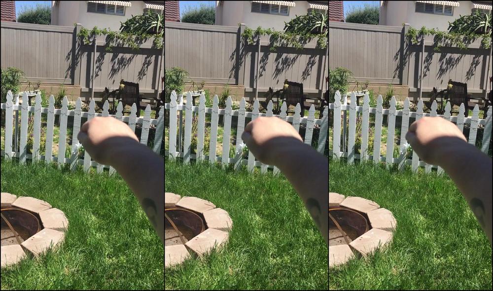 Alanaevansxxx 236596132 04 15 2020 He S Back I D Like To Introduce You To My Butterfly He Needs A Name For The