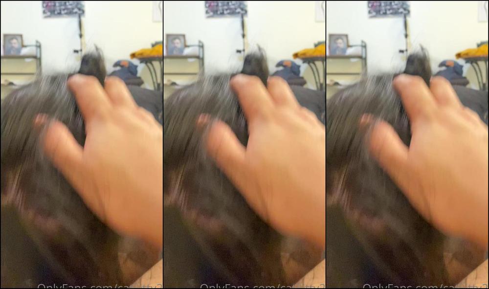 catkitty21-25-06-2020-465099379-show-me-how-much-you-love-watching-me-suck-cock-it-accidentally-got-split-into-two