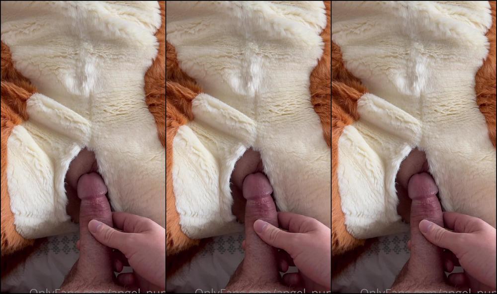 Angel Pups 478613794 Soft Vixen Lovin 02 1Ca9D41C E993 4B4C 8A30 514C3Fa2F289